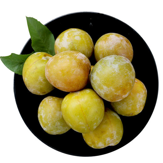 新鲜现摘李子 当季水果 果香浓郁 脆蜜晚李500g 商品图7