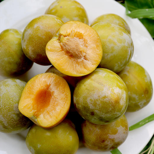 新鲜现摘李子 当季水果 果香浓郁 脆蜜晚李500g 商品图3