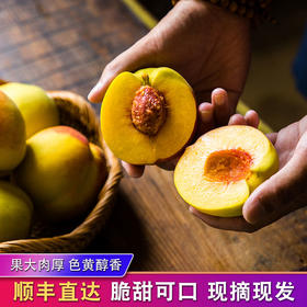 周二荆喜 | 锦绣黄桃、小麻鸭、翠冠梨，美食上新一箩筐！