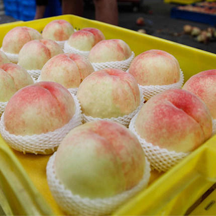 【特惠】无锡阳山水蜜桃，白凤桃甜蜜来袭 商品图2