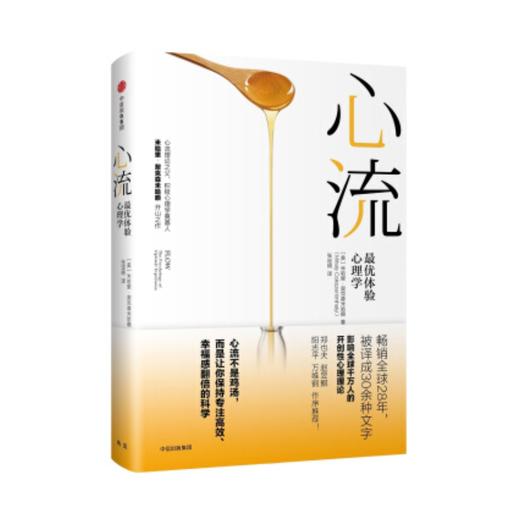心流 体验心理学 米哈里契克森米哈赖 著 重获内心和谐自我提升心理学通俗书籍 万维钢作序推荐 商品图2
