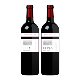 【双支特惠装】阿根廷原瓶进口红酒 赛佩斯博娜德马尔贝克红葡萄酒 Cepas Bonarda Malbec 单支装750ml*2