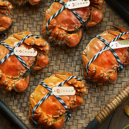 金世尊2188型  蟹礼/蟹卡 商品图4