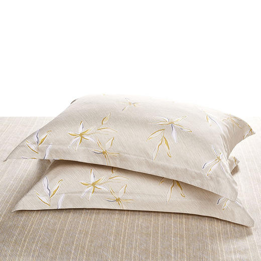 HBGD036 LIT PETALS 全棉贡缎四件套 商品图6