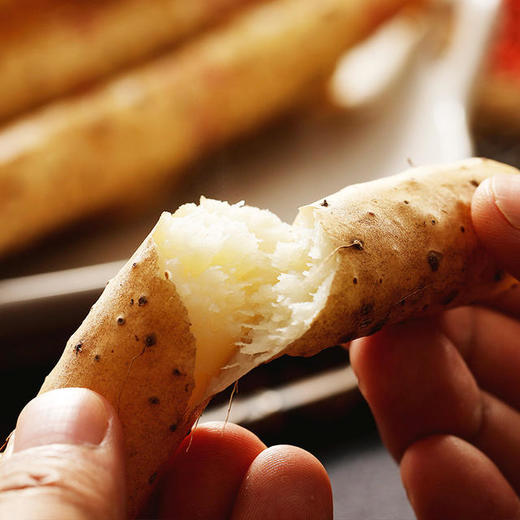 【光复大地严选】河北蠡县小白嘴山药4斤/件 粉糯香甜 生态种植 产地直发 商品图5