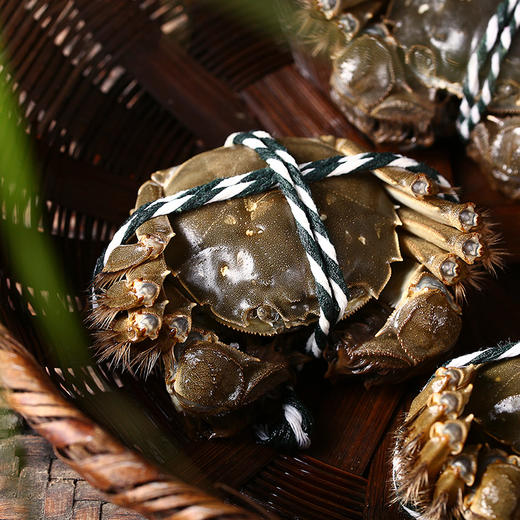 金世尊2188型  蟹礼/蟹卡 商品图6