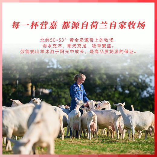 营嘉全家羊奶粉*2罐【常规礼盒装】 商品图6