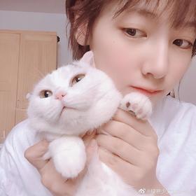 知秋-定金预售s2-变为普通