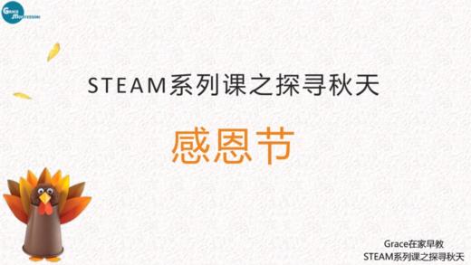 第六课：感恩节活动 商品图0
