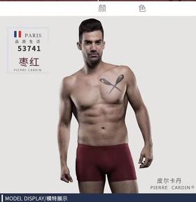 3F皮尔卡丹平角裤