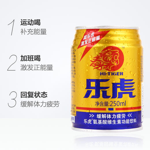 乐虎维生素功能饮料250ml 商品图2