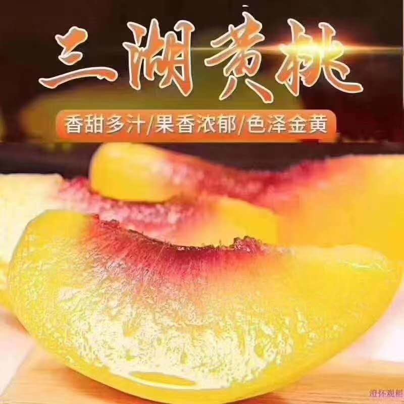 三湖锦绣黄桃带箱10斤现摘