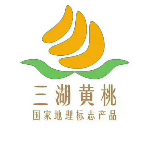 三湖锦绣黄桃带箱10斤现摘 商品图3