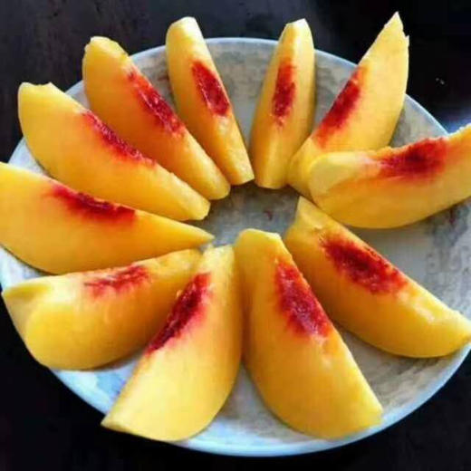 三湖锦绣黄桃带箱10斤现摘 商品图1