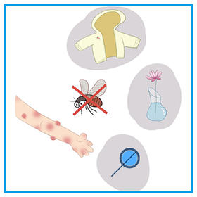 驱蚊精油 | 夏季防蚊，除了涂驱蚊精油，这些你也要知道！