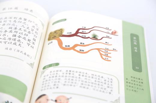 思维导图学古文（全3册）赠书签 含120个诵读音频+测试小程序 编版小学语文教材 商品图8