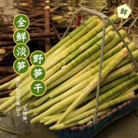  夏天也能吃到嫩笋了！临安天目山鲜笋笋干，嫩得出汁，清香诱人！ 