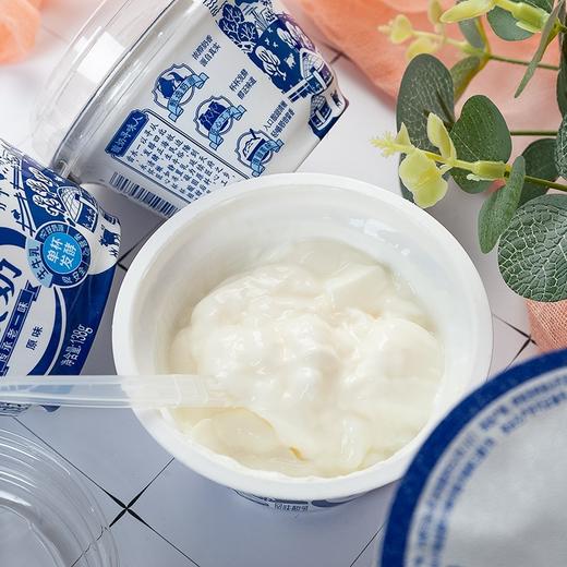 伊利老酸奶原味138g*3 商品图1