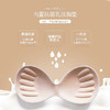 （超值）【新升级版】泰国依芙龄天然乳胶内衣聚拢文胸无痕无钢圈透气收腹乳 商品缩略图2