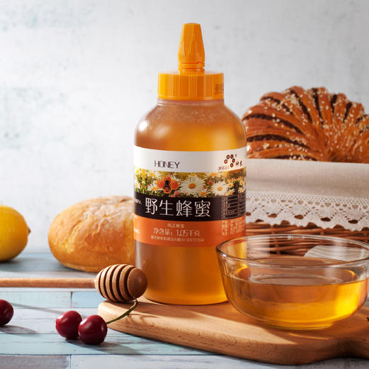 【助农】神农野生蜂蜜1.05kg 商品图1