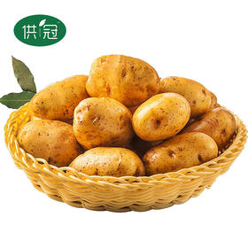 【恩施】供冠恩施马尔科硒土豆5斤