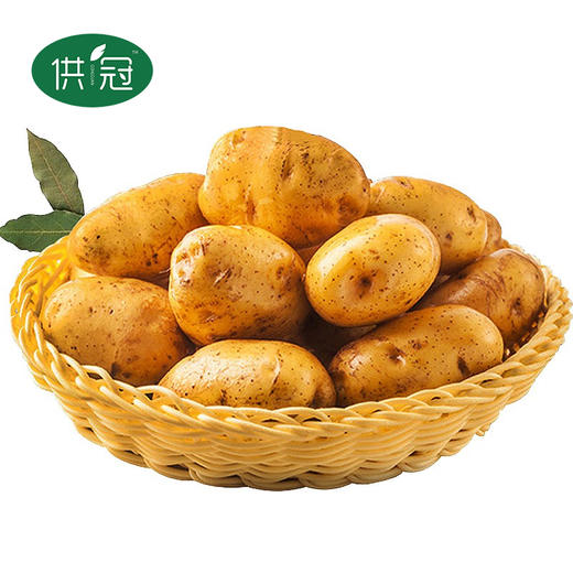 【恩施】供冠恩施马尔科硒土豆5斤 商品图0