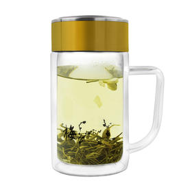 芮太乐 双层带柄商务杯玻璃杯 400ml透明色