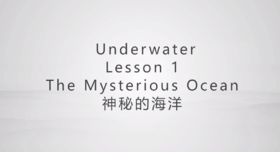神秘的海洋