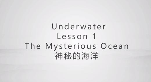 神秘的海洋 商品图0
