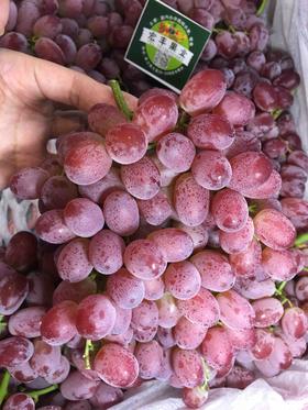 宏丰精选  无籽奶提 口感脆甜   不用吐籽 14.8元一斤