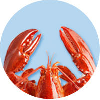 低库存商品 商品图0