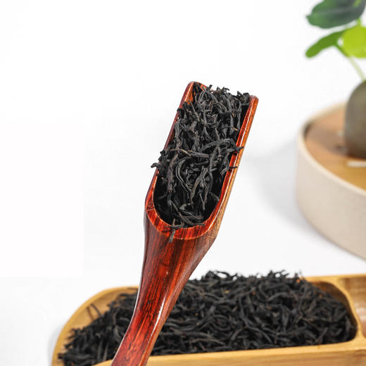 忌平庸福建松溪百佳散装小种红茶特级浓香型正山小种桐木批发闽关茶叶