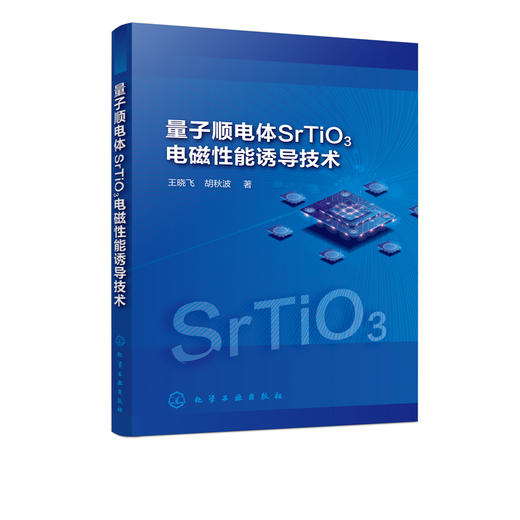量子顺电体SrTiO3电磁性能诱导技术 王晓飞 电介质物理铁电陶瓷薄膜制备功能材料研究书 SrTiO3研究现状薄膜陶瓷制备技术 商品图2