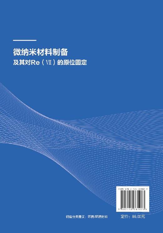 微纳米材料制备及其对Re Ⅶ 的原位固定 丁庆伟 商品图1
