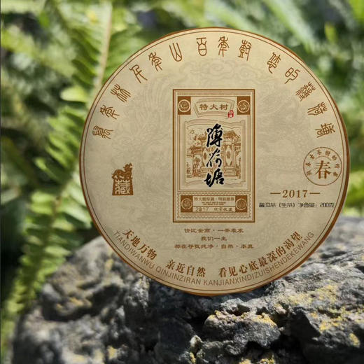 小众定制茶 商品图4