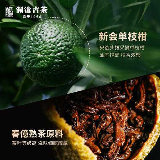 【双11预售】澜沧古茶2020年茶妈妈小青柑陈皮普洱茶熟茶新会橘普柑普桔子120g 商品图2