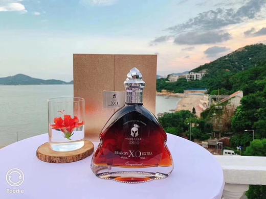 奇迹1860 征服者系列33年干邑XO 商品图2