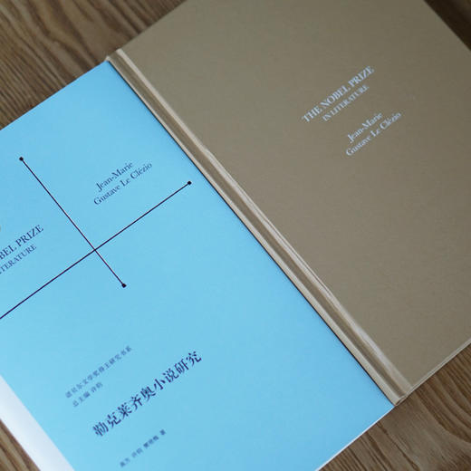 勒克莱齐奥小说研究 商品图3