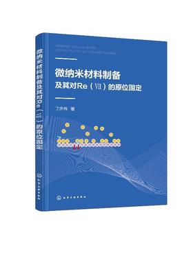 微纳米材料制备及其对Re Ⅶ 的原位固定 丁庆伟