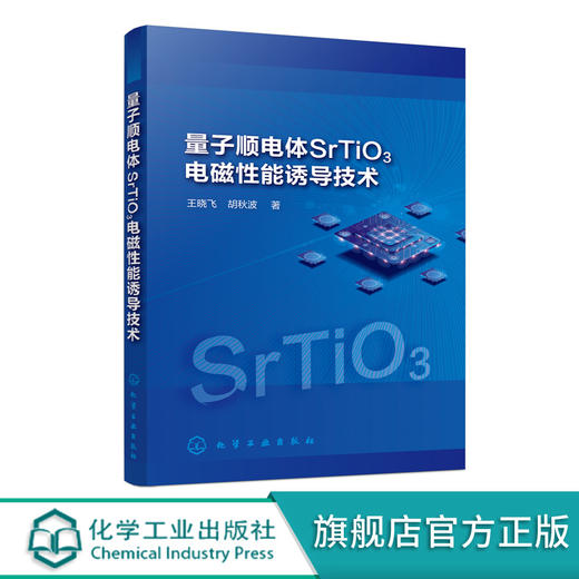 量子顺电体SrTiO3电磁性能诱导技术 王晓飞 电介质物理铁电陶瓷薄膜制备功能材料研究书 SrTiO3研究现状薄膜陶瓷制备技术 商品图0