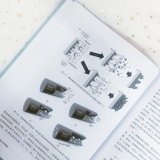 电冶金与电化学储能 商品图2