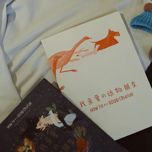 我亲爱的动物朋友 赛蒙哥马利 著 科普 自然 动物 温情故事 博物学 治愈插画 中信出版社图书 正版 商品图2