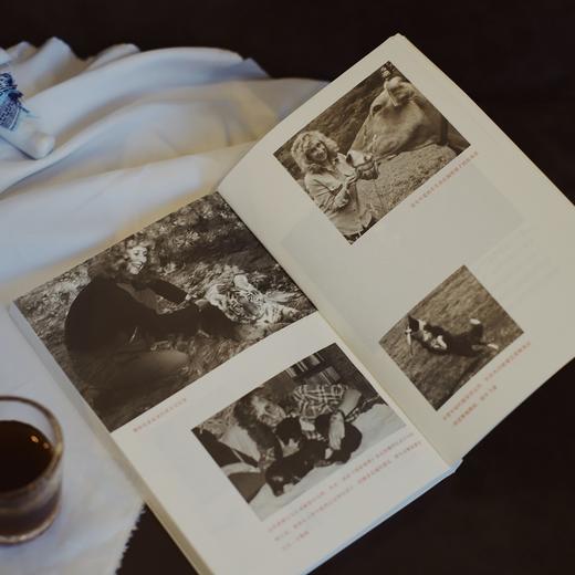 我亲爱的动物朋友 赛蒙哥马利 著 科普 自然 动物 温情故事 博物学 治愈插画 中信出版社图书 正版 商品图1