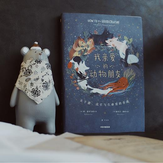 我亲爱的动物朋友 赛蒙哥马利 著 科普 自然 动物 温情故事 博物学 治愈插画 中信出版社图书 正版 商品图3