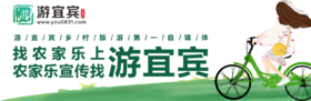 游宜宾活动尾款支付通道