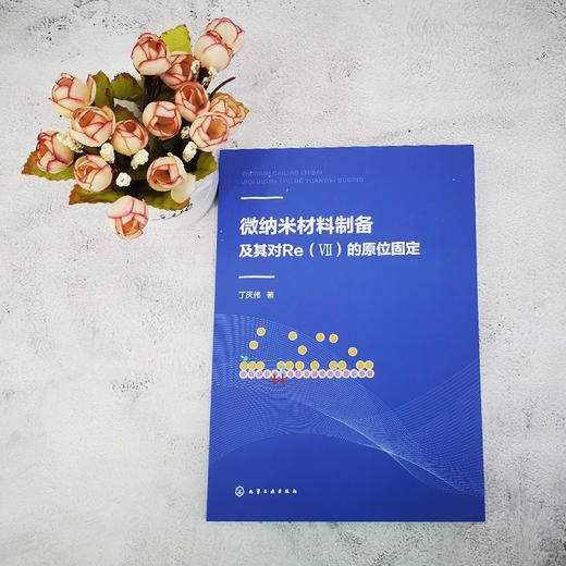 微纳米材料制备及其对Re Ⅶ 的原位固定 丁庆伟 商品图4