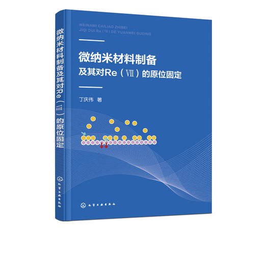 微纳米材料制备及其对Re Ⅶ 的原位固定 丁庆伟 商品图5