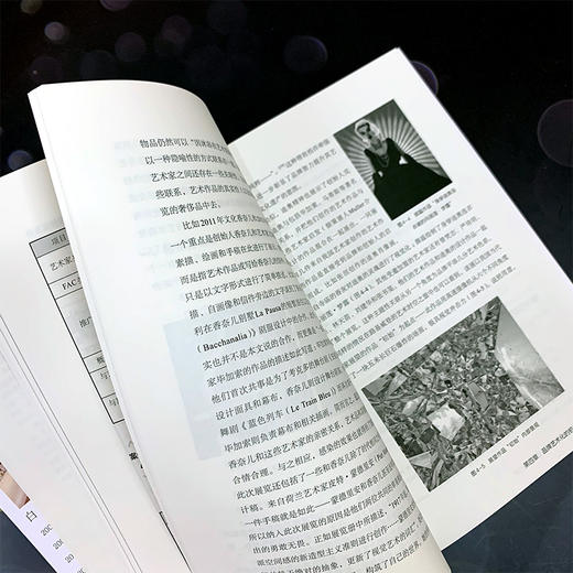 真实乌托邦 21世纪的服装品牌与艺术 白玉力 服装品牌艺术化营销核心技术 服装品牌营销策略方法服装艺术营销设计书籍 商品图4