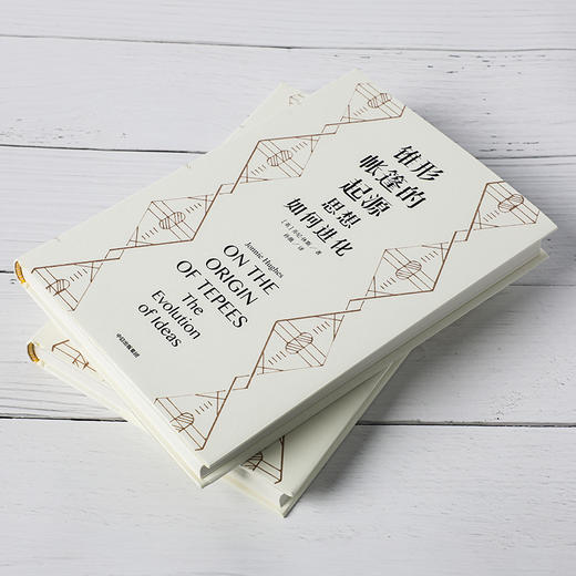 锥形帐篷的起源：思想如何进化 乔尼休斯 著 见识城邦 进化 基因 DNA BBC纪录片 用英伦幽默聊思想的进化 中信出版社图书 正版 商品图2