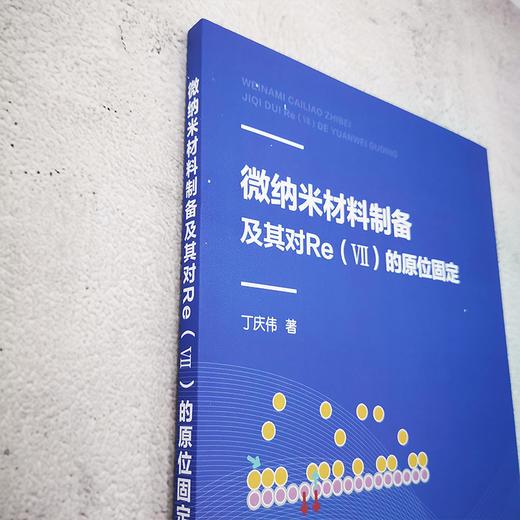 微纳米材料制备及其对Re Ⅶ 的原位固定 丁庆伟 商品图3